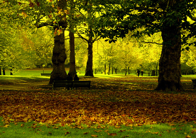 Autumn